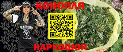 крисы Пыть-Ях