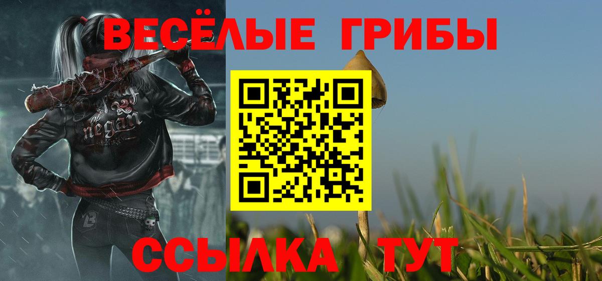 Сатка  Галлюциногенные грибы прущие грибы  Псилоцибиновые грибы Psilocybe  Вход с VPN 